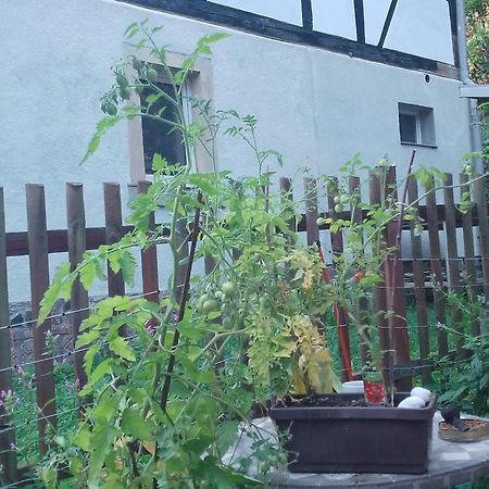 Zum Stillen Himmelbett In Lichtenwalde Niederwiesa Экстерьер фото